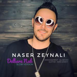  دلبر ناب (ورژن گیتار) ناصر زينلی