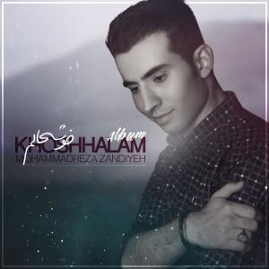 MohammadReza Zandiyeh Asemoon