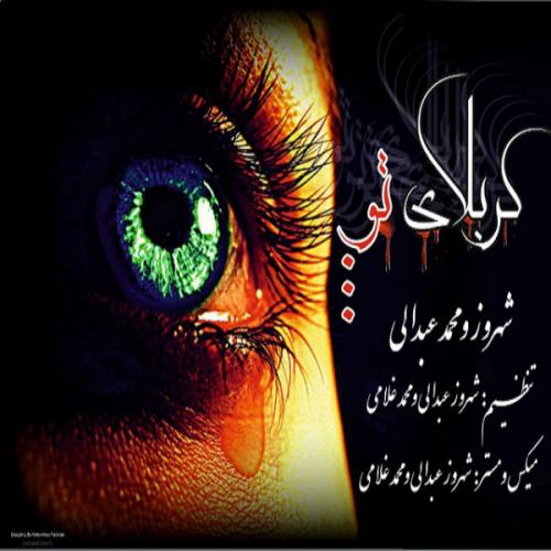 دانلود آهنگ شهروز عبدالی Gheble Alam