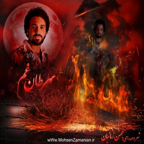 دانلود آهنگ محسن زمانیان به یاد مرتضی