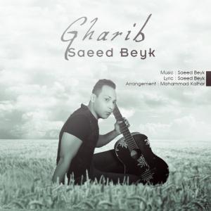 Saeed Beyk Tarke Eshgh