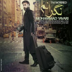 Mohammad Yavari Panj Shanbeha