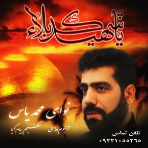 Mohammad Yas Ey Shahe Labe Atshan