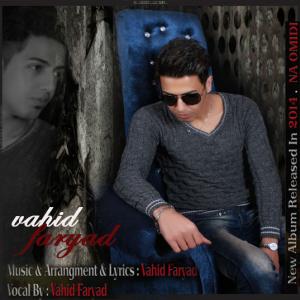 Vahid Faryad Age To Beri
