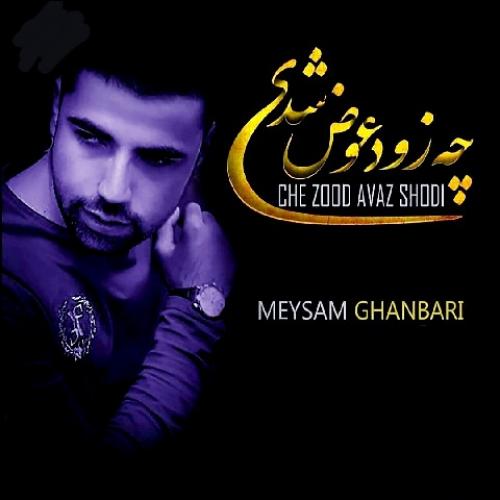 دانلود آلبوم میثم قنبری چه زود عوض شدی 