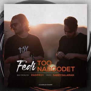 Fedi Too Naboodet