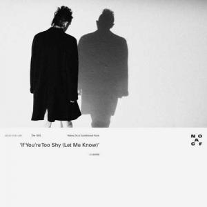 دانلود آهنگ The 1975 If You’re Too Shy (Let Me Know)