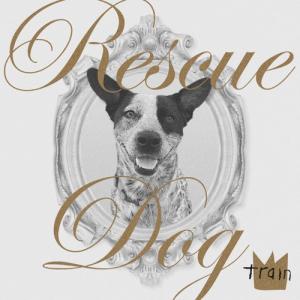 دانلود آهنگ Train Rescue Dog