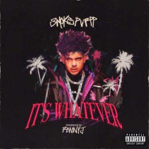 دانلود آهنگ Ronny J It's Whatever
