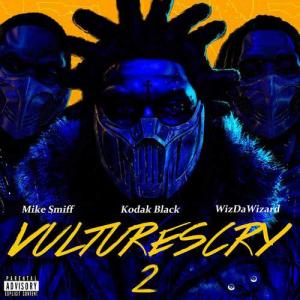 دانلود آهنگ WizDaWizard VULTURES CRY 2