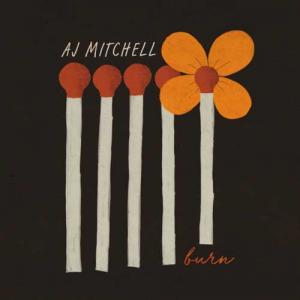 دانلود آهنگ AJ Mitchell Burn