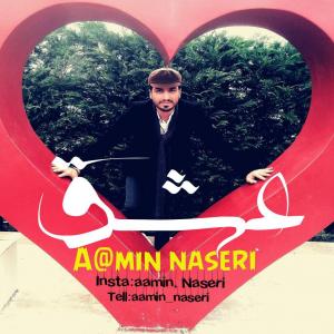 عشق آمین ناصری