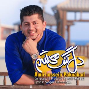 Amirhossein Paknahad Deltang Misham