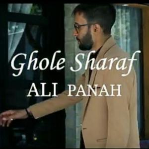 علی پناه قول شرف