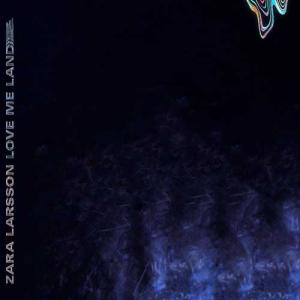 دانلود آهنگ Zara Larsson Love Me Land