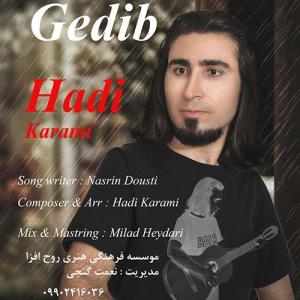 Hadi Karami Gedib