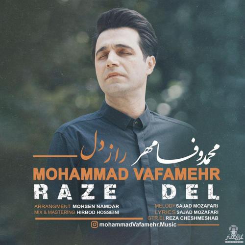 mohammad-vafamehr-raze-del