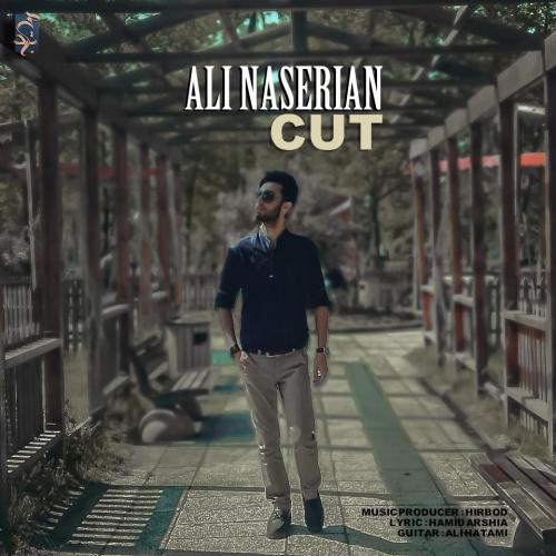 Ali Naserian Cut