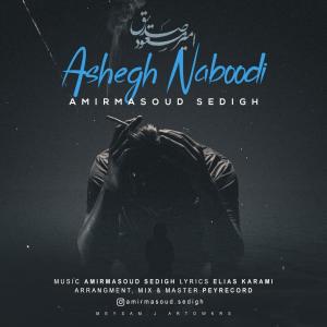 Amir Masoud Sedigh Ashegh Naboodi