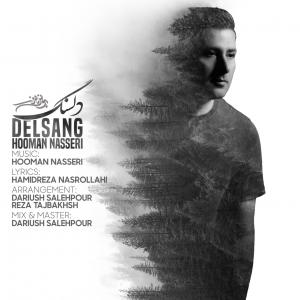 Hooman Nasseri Delsang