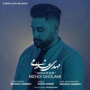 Mehdi Gholami Mohaye Bor