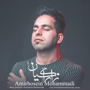 Amirhosein Mohammadi Zara Gian