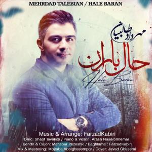 Mehrdad Talebian Hale Baran