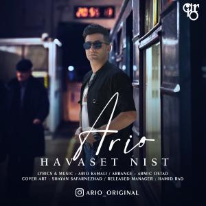 Ario Havaset Nist
