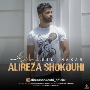 دانلود آهنگ علیرضا شکوهی دل نکن