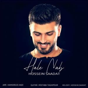 Hossein Saadat Hale Nab