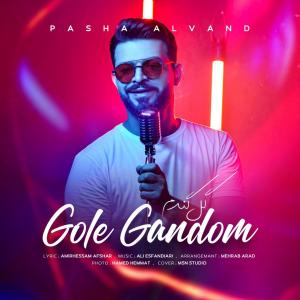 Pasha Alvand Gole Gandom