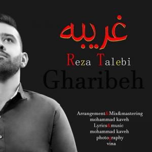 دانلود آهنگ رضا طالبی غریبه