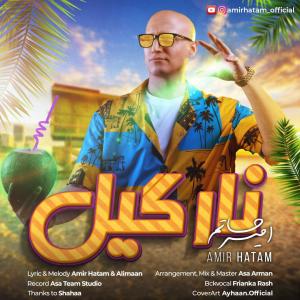 دانلود آهنگ امیر حاتم    نارگیل