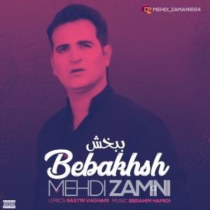 مهدی زمانی ببخش