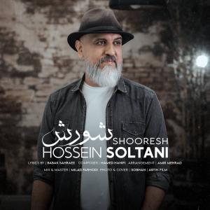 Hossein Soltani Shooresh