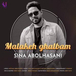 Sina Abolhasani Malake Ghalbam