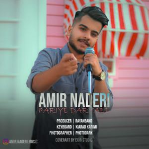 Amir Naderi Pariye Daryaee