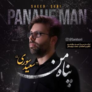 دانلود آهنگ سعید سوری پناه من