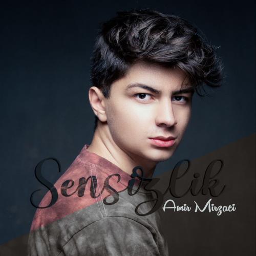 Amir Mirzaei Sensizlik