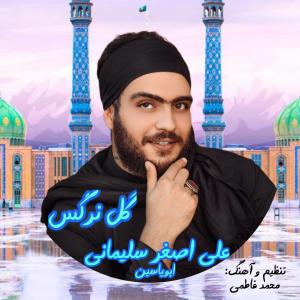 دانلود آهنگ علی اصغر سلیمانی (ابویاسین) گل نرگس