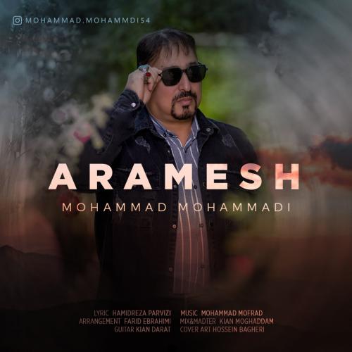 Mohammad Mohammadi Aramesh