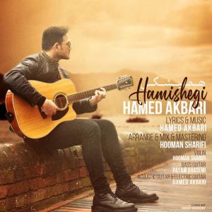 Hamed Akbari Hamishegi