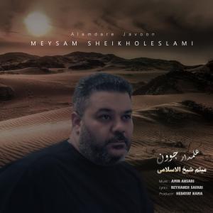 Meysam Sheikholeslami Alamdare Javoon