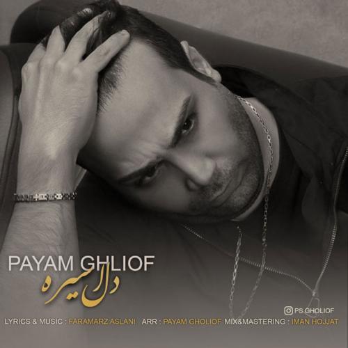 Payam Ghliof Del Asireh