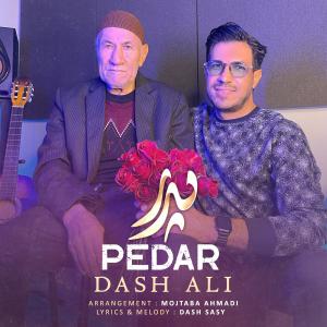 دانلود آهنگ داش علی پدر