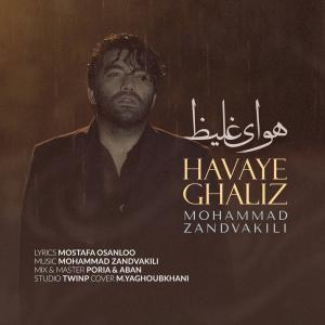 Mohammad Zandvakili Havaye Ghaliz
