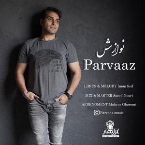 دانلود آهنگ پرواز نوازش