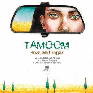 Reza Mehregan Tamoom