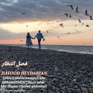 فصل انتظار داود حیدریان