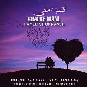 قلب منی حمید شکرانه
